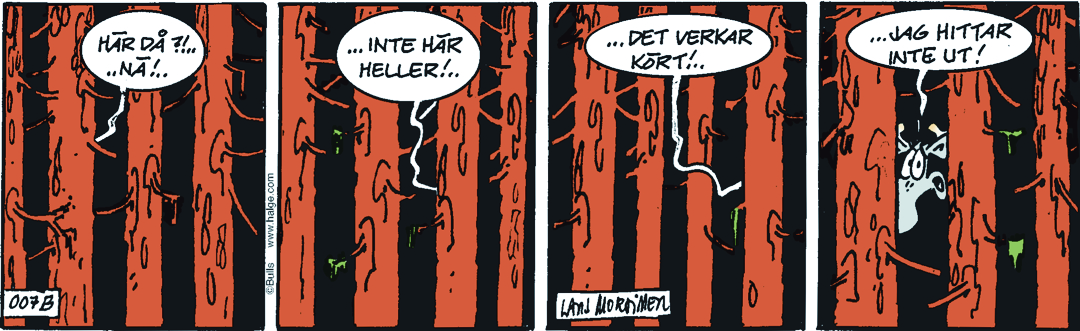 Dagens Stripp_Hge_B007