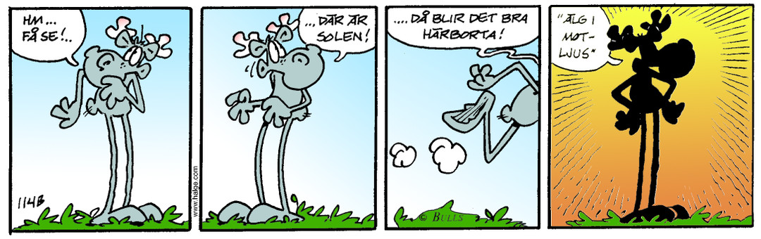Dagens Stripp_Hge_B114