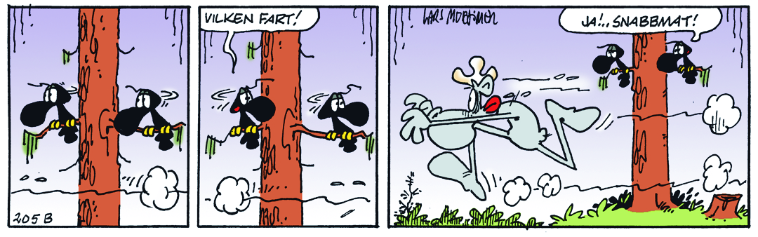 Dagens Stripp_Hge_B205