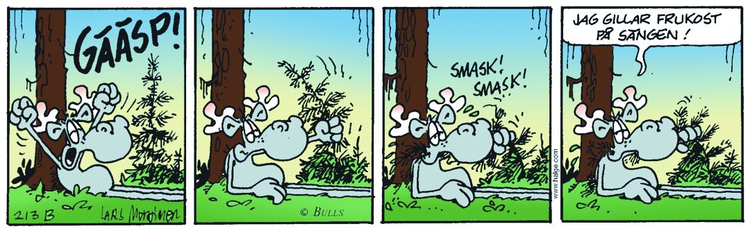 Dagens Stripp_Hge_B213