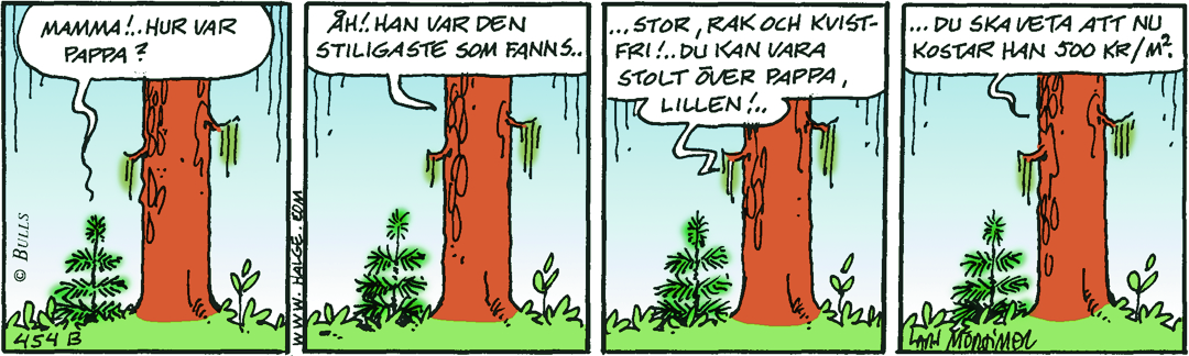 Dagens Stripp_Hge_B454