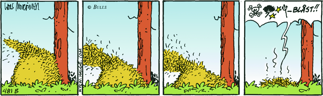 Dagens Stripp_Hge_B481