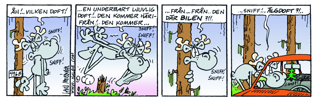Dagens Stripp_Hge_B496