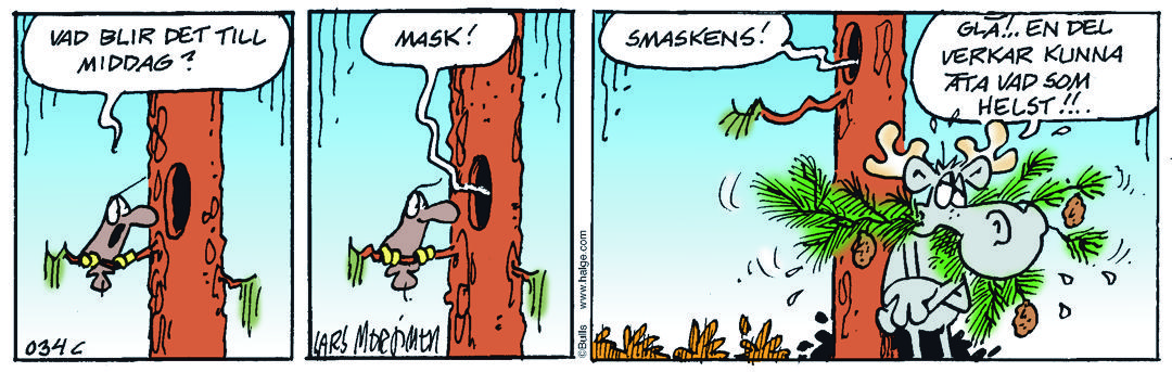Hälge stripp 2016-05-24