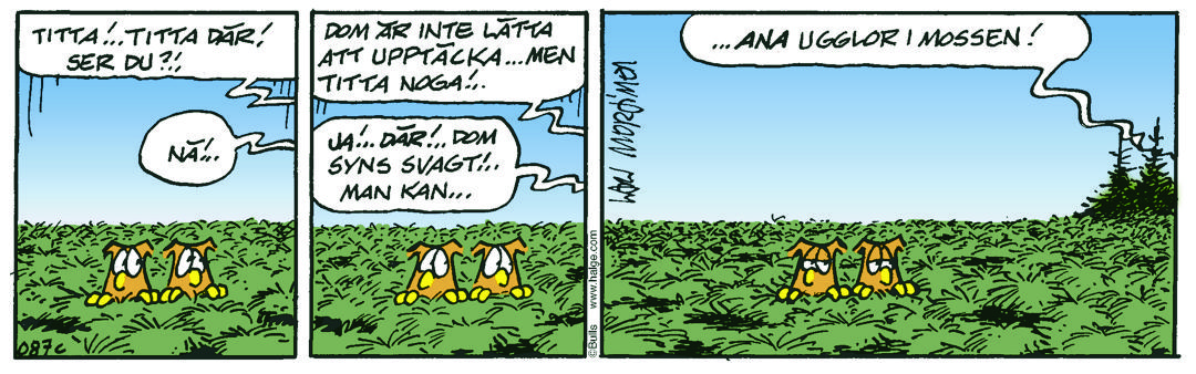 Dagens Stripp_Hge_C087