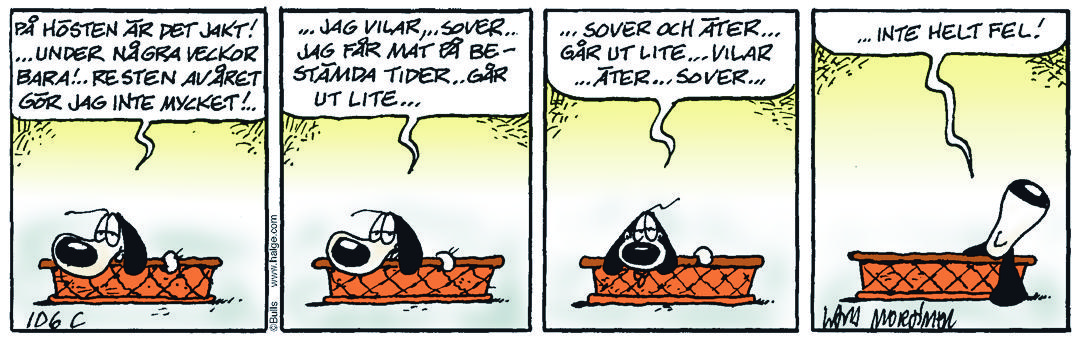 Dagens Stripp_Hge_C106