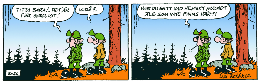 Dagens Stripp_Hge_C502