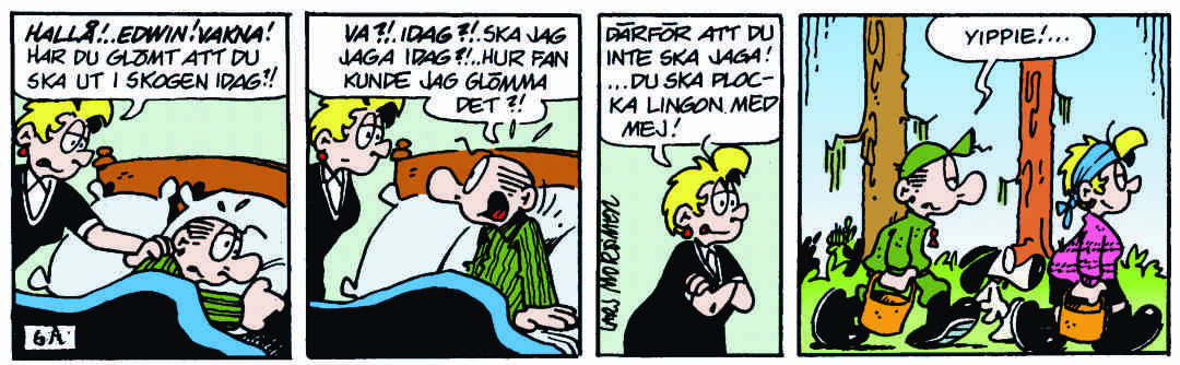 Hälge Stripp 2017-11-05