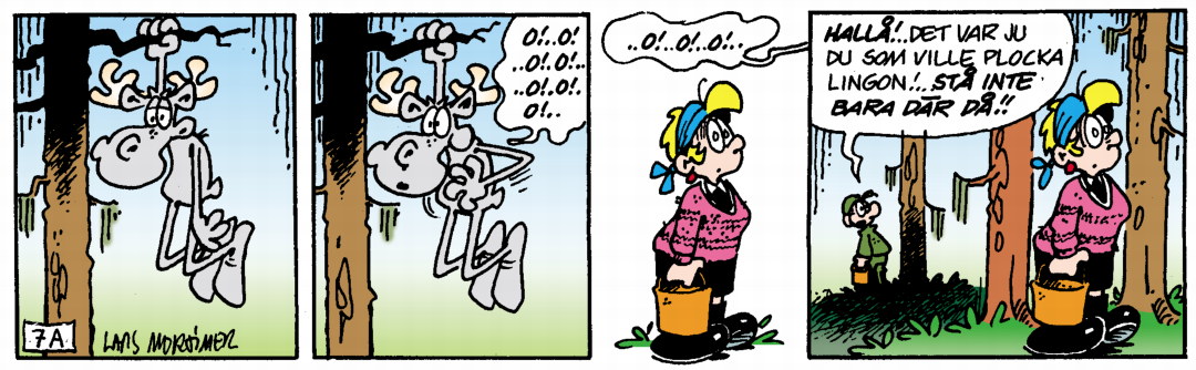 Hälgestripp 2024-08-11