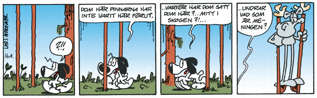 Hälgestripp 2025-12-01