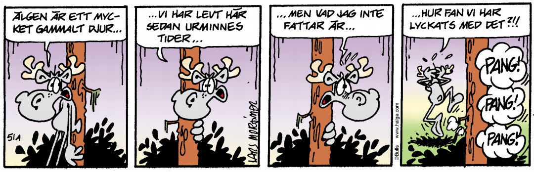 Hälge Stripp 2020-11-12