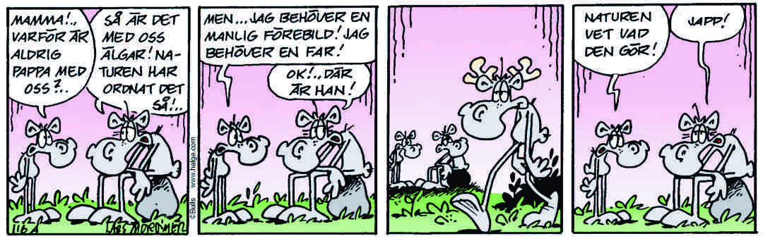 Hälge Stripp 2018-11-11