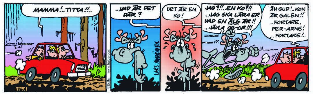Hälge Stripp 2017-11-26