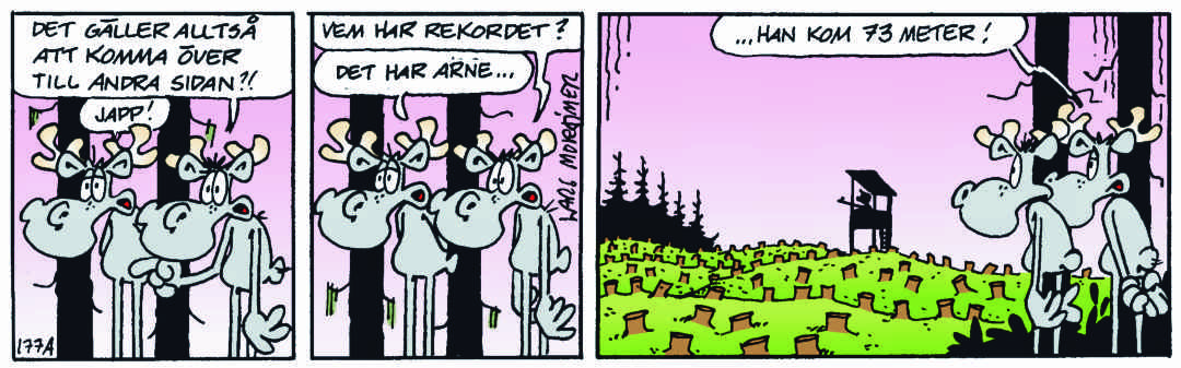 Hälgestripp 2023-11-18