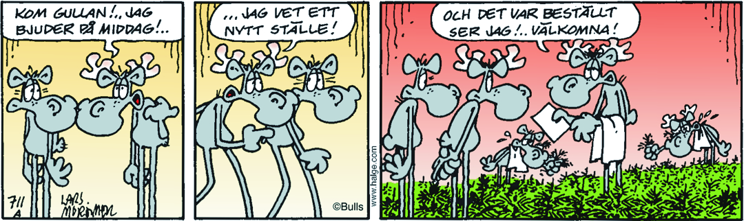 Hälge Stripp 2017-05-13