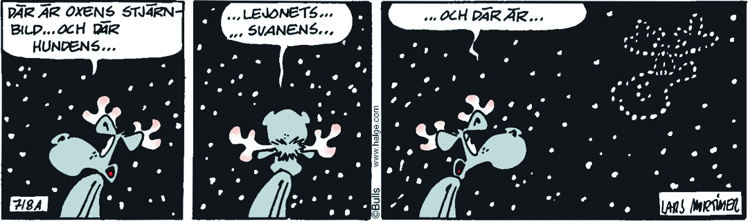 Hälgestripp 2026-03-07