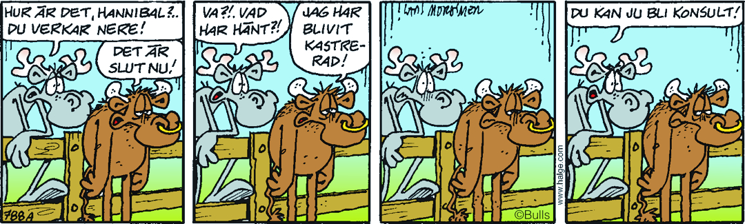 Hälgestripp 2026-04-26