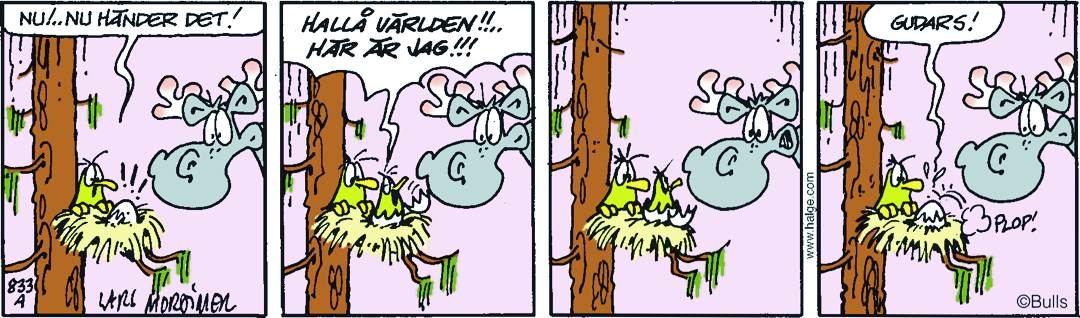 Hälge Stripp 2017-05-01