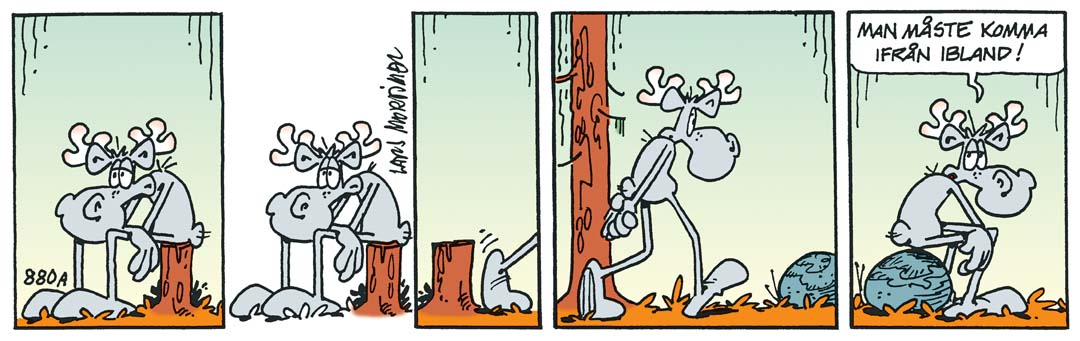 Hälgestripp 2026-05-17