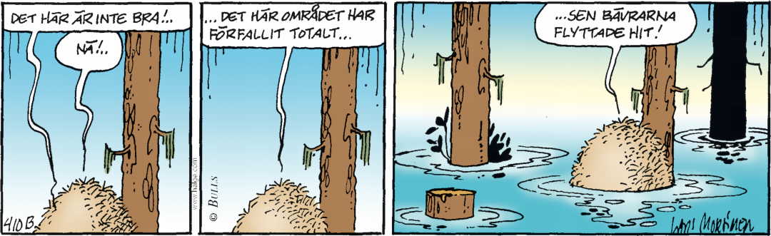 Hälgestripp 2025-06-13