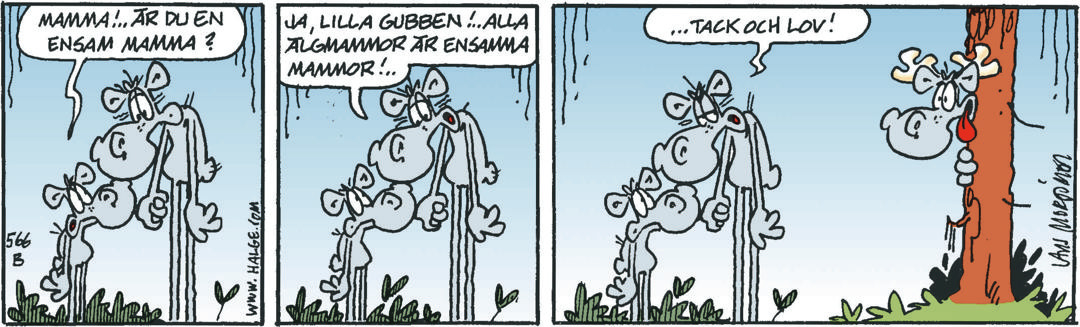 Hälgestripp 2024-07-02
