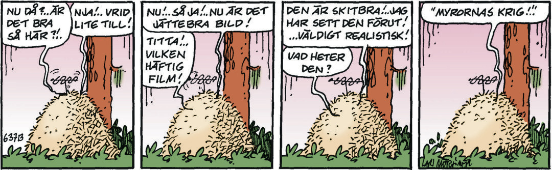 Hälgestripp 2022-06-29