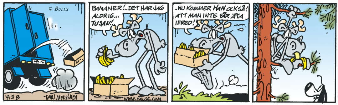 Hälgestripp 2024-07-19