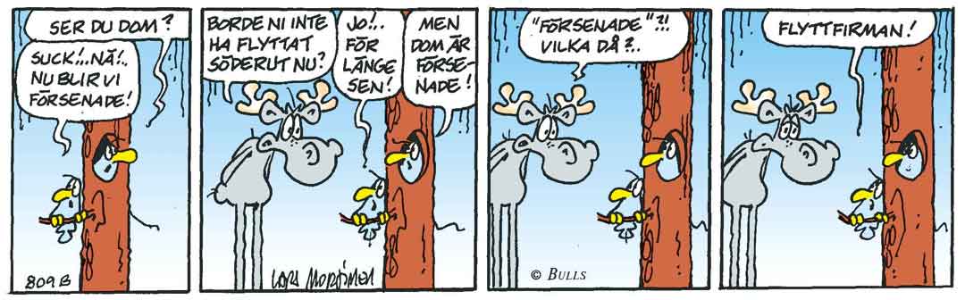 Hälge Stripp 2017-08-26
