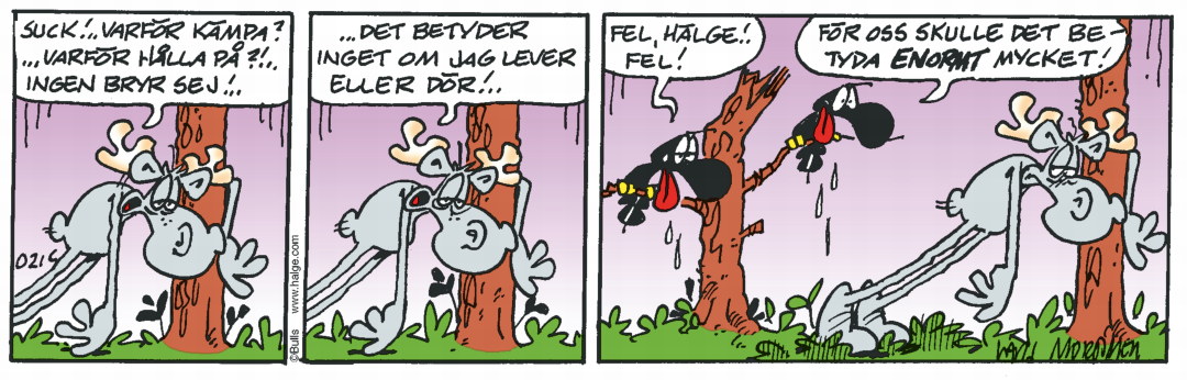 Dagens-stripp_Hge_C021