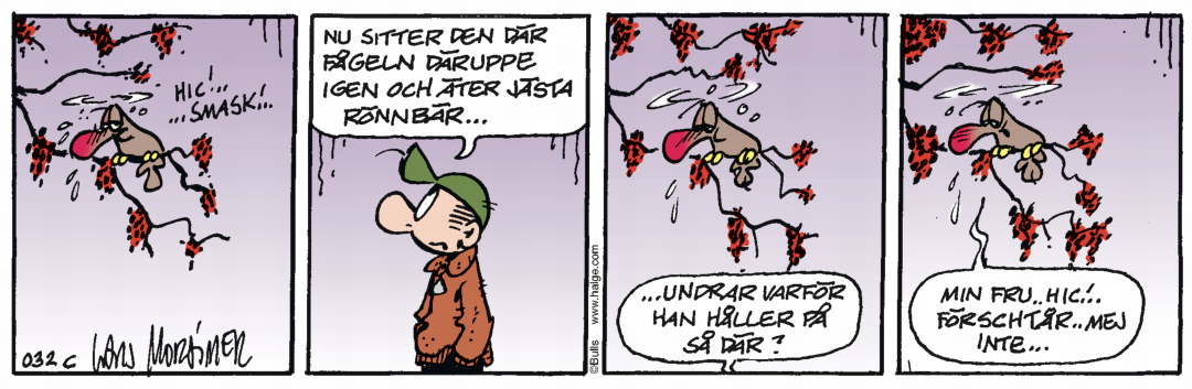 Dagens-stripp_Hge_C032