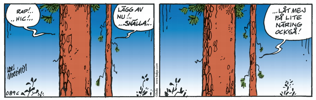 Dagens-stripp_Hge_C089
