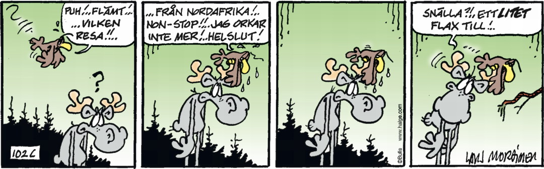 Dagens-stripp_Hge_C102