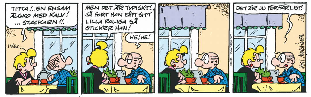 Hälgestripp 2026-05-16