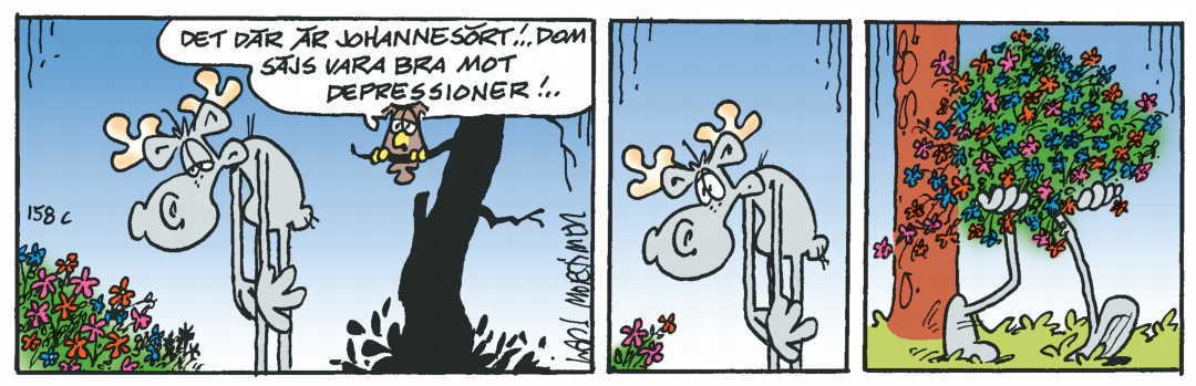 Hälgestripp 2025-06-12