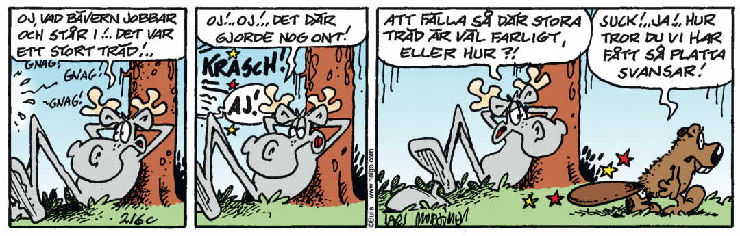 Hälgestripp 2025-06-11