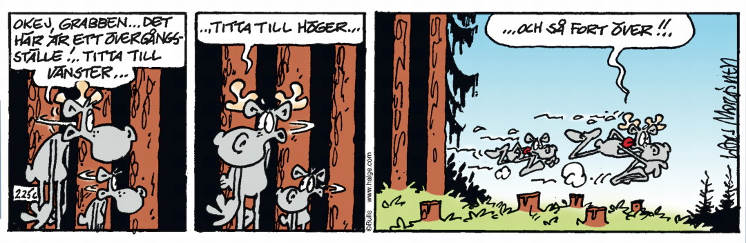 Hälgestripp 2024-10-01