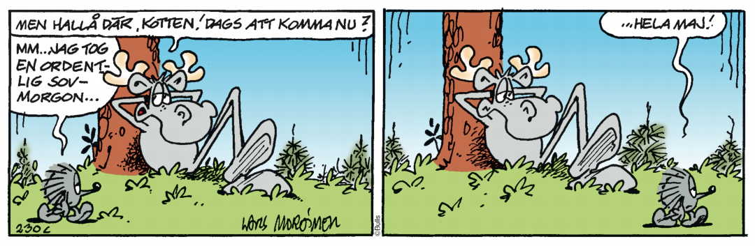 Hälge Stripp 2021-06-24