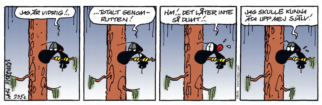 Hälge Stripp 2020-03-08