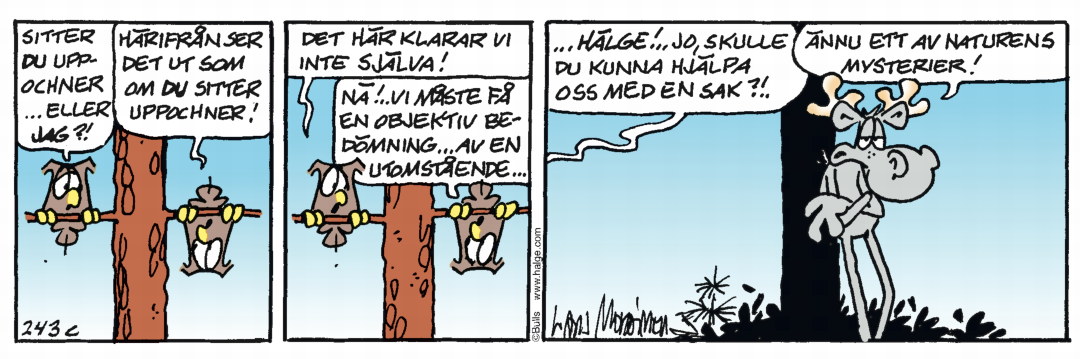 Hälge Stripp 2020-03-05