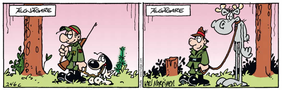 Hälgestripp 2024-06-21