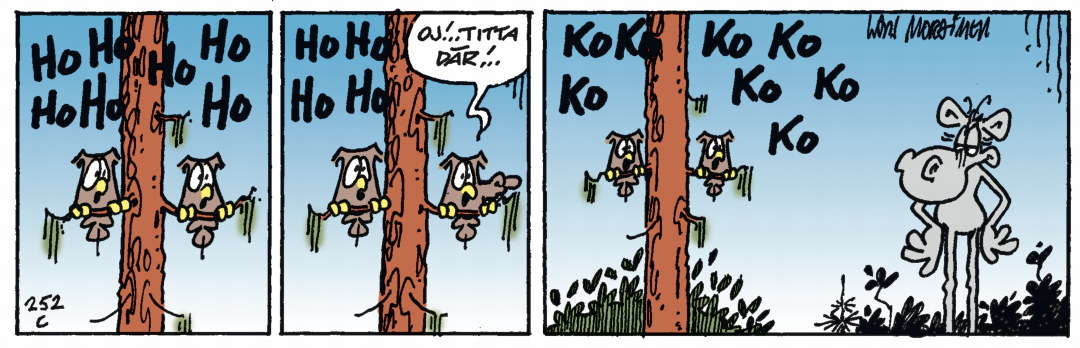 Hälge Stripp 2020-03-06