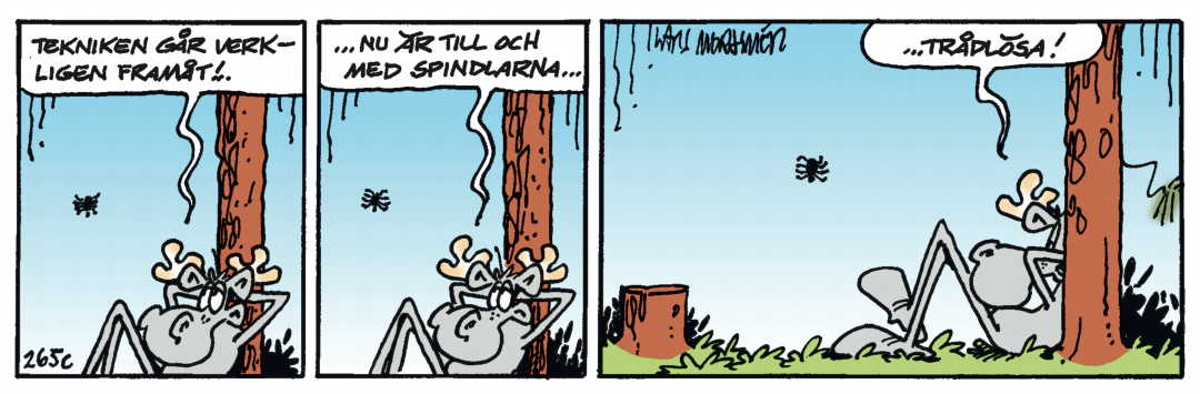 Hälgestripp 2025-06-16