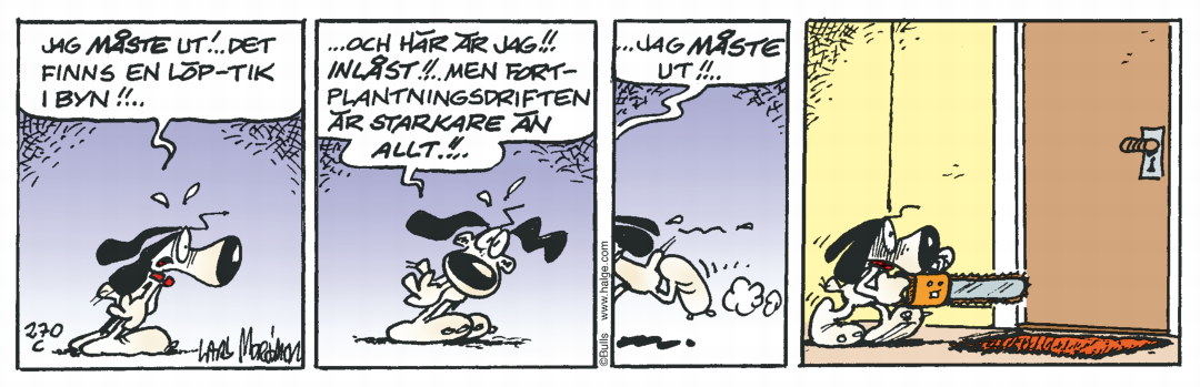Hälgestripp 2025-02-14