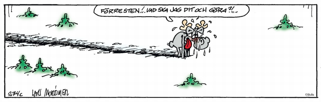 Hälge Stripp 2020-02-24