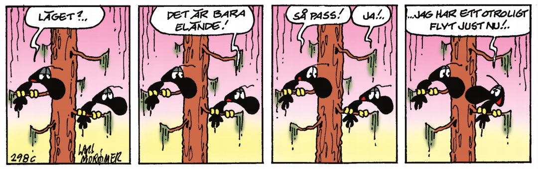 Hälge Stripp 2020-02-20
