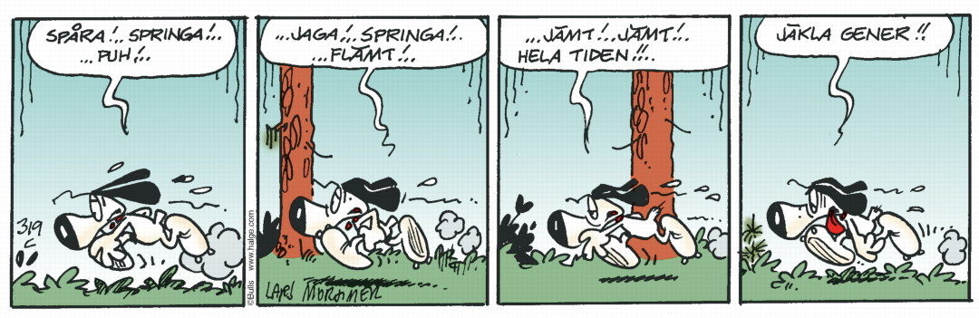 Hälge Stripp 2020-02-19