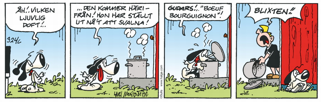 Hälge Stripp 2020-02-23