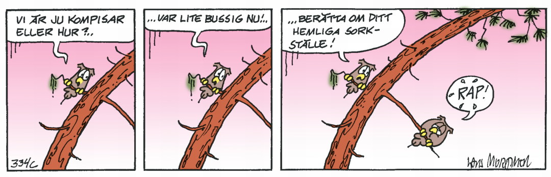 Hälge Stripp 2020-02-07