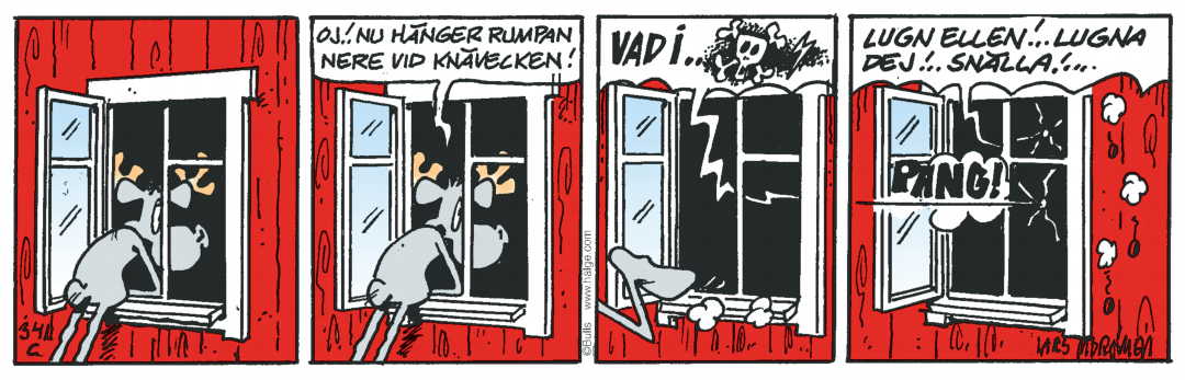 Hälgestripp 2025-05-19