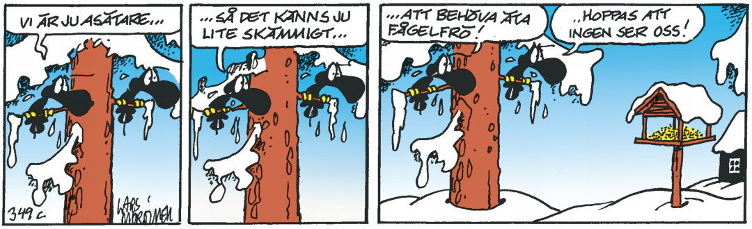 Hälge Stripp 2020-02-12